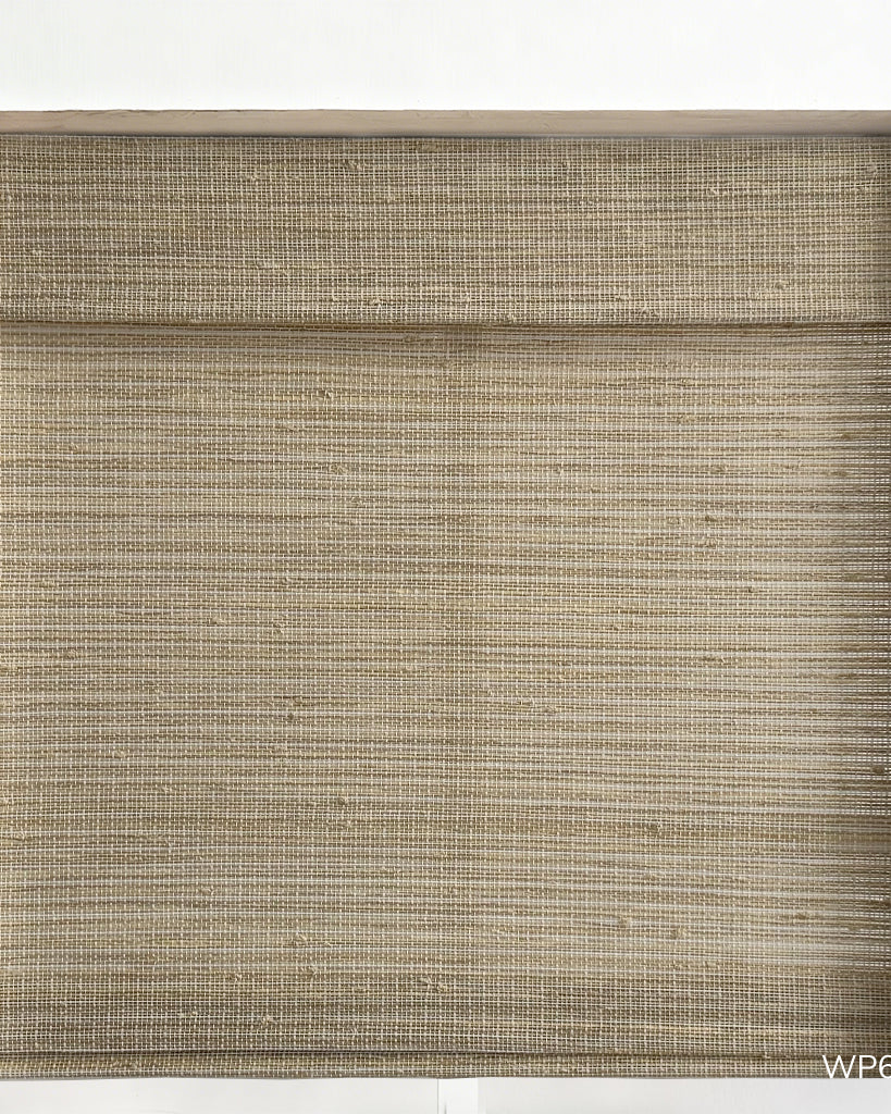 Beachgrass-WP611